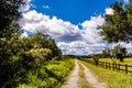 Bucolic image of the countryside