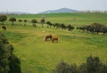 Bucolic landscape Royalty Free Stock Photo