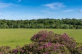 Bucolic landscape at Dumfries House in Cumnock, Scotland, UK. Royalty Free Stock Photo