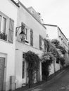 Bucolic Paris Street