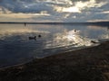 Bucolic scene of the lake of Trevignano