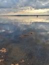 Bucolic scene of the lake of Trevignano