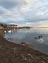 Bucolic scene of the lake of Trevignano