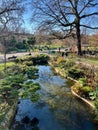 Bucolic scene over pond in Parc Monceau, Paris