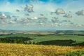 Bucolic view of a field