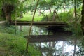 Bucolic wooden bridge and pollarded ash trees reflecting on marsh