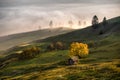 Bucovina autumn sunrise landscape in Romania with mist and mountains