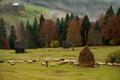 Bucovina sheepherd and landscape in Romania with mist and mountains