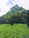 Bucsoiu mountain from Carpati mountains Royalty Free Stock Photo