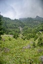 Hiking on Bucsoiu mountain on a summer day Royalty Free Stock Photo