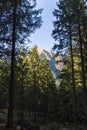 Hiking on Bucsoiu mountain on a summer day Royalty Free Stock Photo