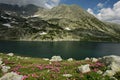 Bucura lake in june with snow patches and flowers