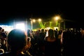 Bucuresti, Romania. August, 01, 2019- Many young people attending the night at a rock concert