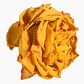 Bud of dry yellow rose isolated Royalty Free Stock Photo