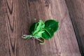 The bud of linden on the wooden table