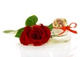 Bud of red rose and bottle with perfume Royalty Free Stock Photo