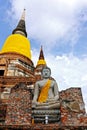 Buda in Ayutthaya. THAILAND Royalty Free Stock Photo