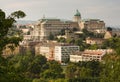Buda castle Royalty Free Stock Photo