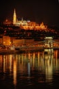 Buda Castle Budapest Hungary Royalty Free Stock Photo