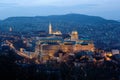 Buda Castle in floodlight in Budapest, Hungary.