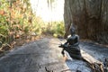 Buda figure into the woods