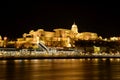 Budapest Castle Royalty Free Stock Photo