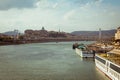 Budapest cityscape with Buda Castle and Elizabeth Bridge