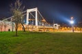 Budapest Elisabeth Bridge at night, Hungary Royalty Free Stock Photo