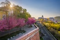 Budapest, Hungary - Aerial view of Arpad Toth Promenade Toth Arpad setany at spring sunrise with beautiful japanese cherry trees Royalty Free Stock Photo