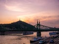 View on the Libery Bridge and the Gellert Hill and the Liberty statue in the background in Budapest