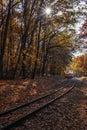 Budapest, Hungary - Autumn scenery in the Hungarian woods of Huvosvolgy with colorful orange and red colored autumn forest Royalty Free Stock Photo