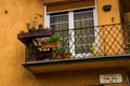 Budapest, Hungary: The balcony of the building with cactus flowers. Beautiful building in the old town. Fragment of the facade Royalty Free Stock Photo