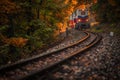 Budapest, Hungary - Beautiful autumn forest with foliage and old colorful train coming out of tunnel