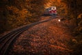 Budapest, Hungary - Beautiful autumn forest with foliage and old colorful train on the track