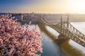 Budapest, Hungary - Beautiful Cherry Blossom and Liberty Bridge on a sunny morning Royalty Free Stock Photo
