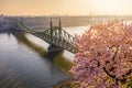 Budapest, Hungary - Beautiful Cherry Blossom and Liberty Bridge on a sunny morning Royalty Free Stock Photo