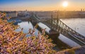 Budapest, Hungary - Beautiful Cherry Blossom at sunrise with Liberty Bridge and traditional tram at background Royalty Free Stock Photo