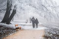 Budapest, Hungary - Beautiful foggy winter scene at Normafa with bench, snowy trees, footpath and walking people
