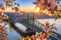 Budapest, Hungary - Beautiful Liberty Bridge over River Danube with traditional yellow tram  at sunrise with cherry blossom Royalty Free Stock Photo