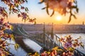 Budapest, Hungary - Beautiful Liberty Bridge over River Danube with traditional yellow tram at sunrise and cherry blossom Royalty Free Stock Photo