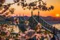 Budapest, Hungary - Beautiful Liberty Bridge at sunrise with cherry blossom Royalty Free Stock Photo