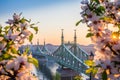 Budapest, Hungary - Beautiful Liberty Bridge at sunrise with cherry blossom and morning sun Royalty Free Stock Photo