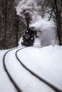 Budapest, Hungary - Beautiful snowy winter forest scene with old steam locomotive on the track in the Hungarian woods Royalty Free Stock Photo