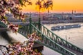 Budapest, Hungary - Beautiful spring sunrise at Liberty Bridge with cruise ship on River Danube and Cherry Blossom Royalty Free Stock Photo