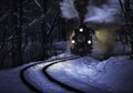 Budapest, Hungary - Beautiful Winter Forest Scene With Snow And Old Steam Locomotive On The Track In The Hungarian Woods