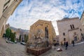 Weeping willow tree in the courtyard of Central Synagogue in Budapest, Hungary Royalty Free Stock Photo