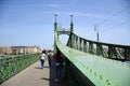 Landmark Liberty Bridge, Freedom Bridge in Budapest