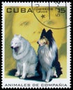 Stamp printed in Cuba shows image of a dogs