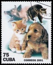 Stamp printed in the Cuba, shows dogs and cats