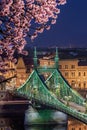 Budapest, Hungary - Illuminated Liberty Bridge over River Danube at dusk and cherry blossom tree at foreground Royalty Free Stock Photo